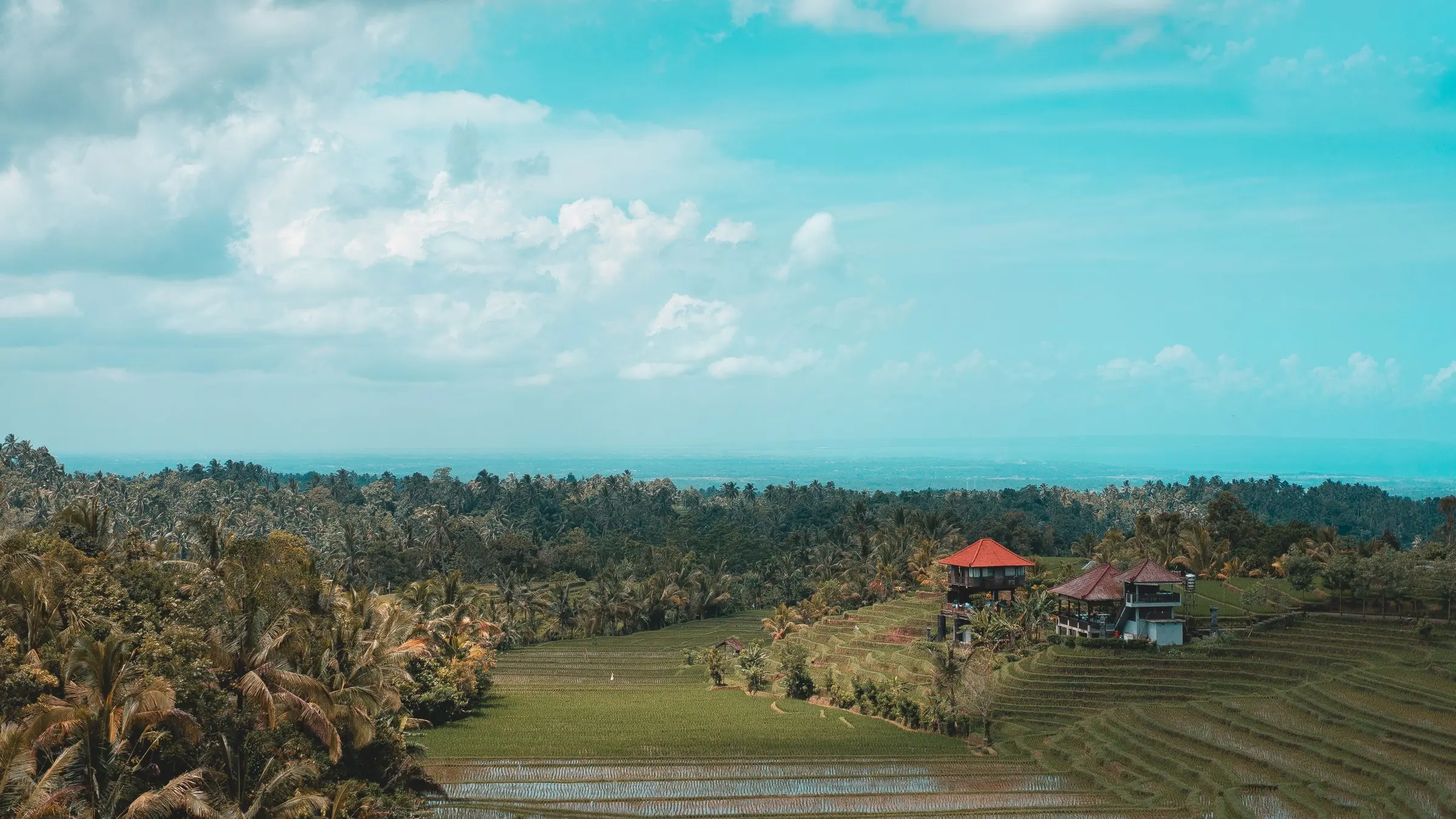 Rice terraces and village houses in the green hills of Bali