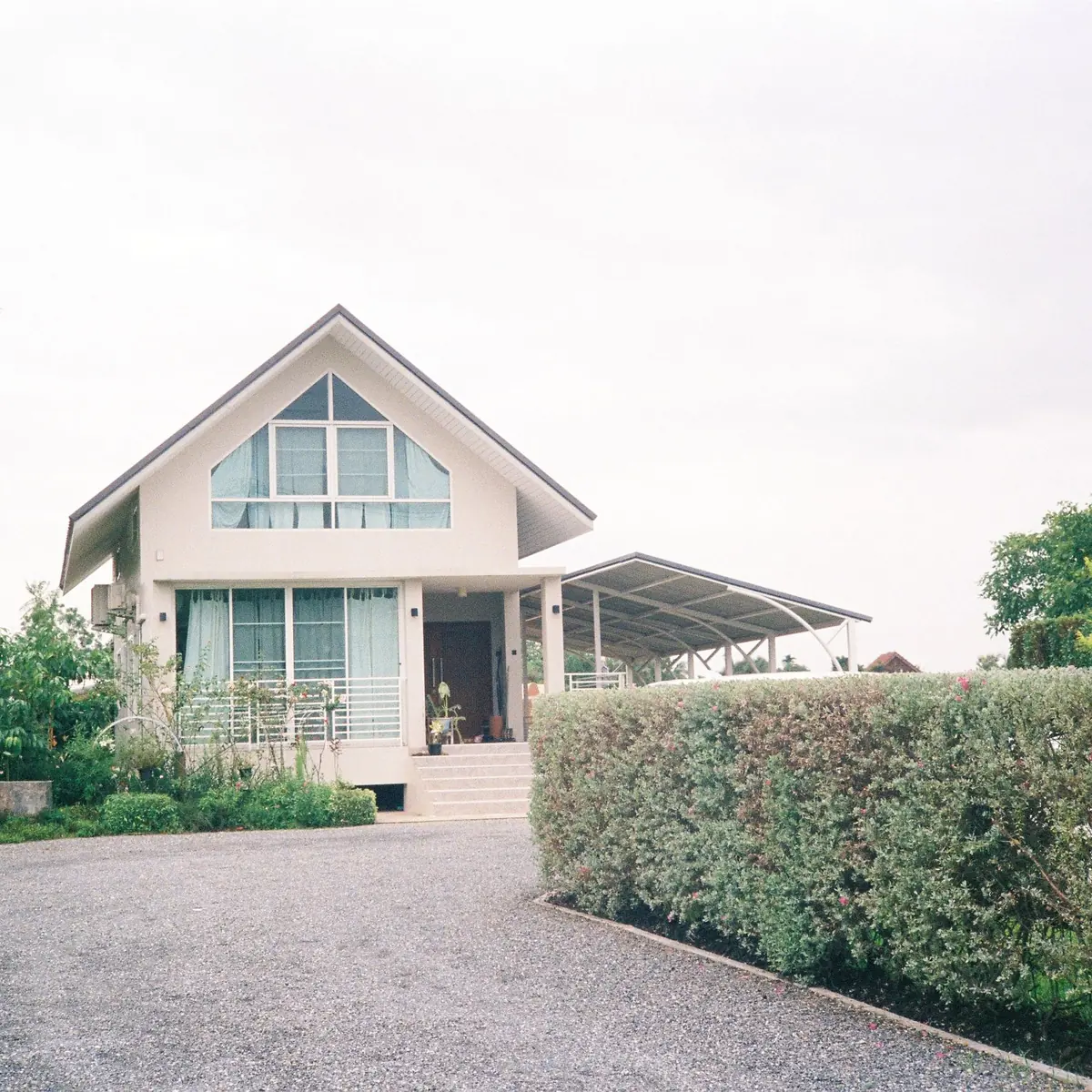 A family home with a gable roof behind a green hedge